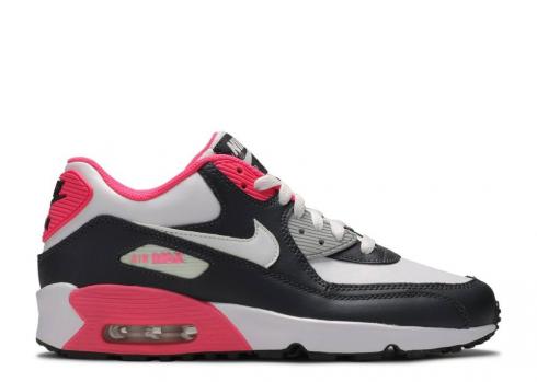 Nike Air Max 90 Ltr Gs Anthracite Hyper Pink White Metallic Silver 833376-003