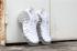 Nike Air Foamposite One Pro Silver White AA3963-100