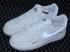 Nike Air Force 1 07 Low Silver snow Light Grey FB1839-333