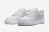 Nike Air Force 1 Low SP Slam Jam Summit White Off White DX5590-100