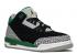 Air Jordan 3 Retro Gs Pine Green Grey Cement Black White 398614-030