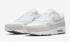 Nike Air Max 1 White Cool Grey Pure Platinum AH8145-110