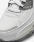 Nike Air Max Terrascape 90 White Grey DQ3987-101