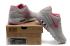 Nike Air Max 90 Current Moire Light Grey Cherry Red 344081-015