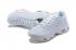 2021 Nike Air Max Plus White Pure Platinum DM2362-100