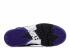 Nike Air Force Max CB Black Purple AJ7922-002