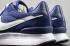 Nike Internationalist LT17 Blue White Glow 872087-401