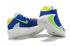 Nike Zoom Freak 1 Royal Blue Green Yellow White Basketball Shoes BQ5422-403
