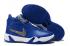 Nike Zoom Heritage N7 Royal Blue University Gold Basketball Shoes CI1683-400