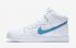 Nike DUNK SB High Skateboarding Unisex Shoes Lifestyle Shoes White Blue 313171
