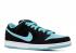 Dunk Low Pro Sb Clear Jade Clear White Black Jade 304292-030