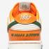 Florida A&M x Nike SB Dunk Low Orange Horizon Fortress Green Sail DR6188-800