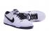 Nike DUNK SB Low Skateboarding Shoes Lifestyle Unisex Shoes White Black 819674-101