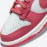 Nike SB Dunk Low Archeo Pink White DD1503-111