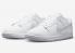 Nike SB Dunk Low Retro White Pure Platinum DV0831-101