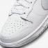 Nike SB Dunk Low Retro White Pure Platinum DV0831-101