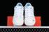Nike SB Dunk Low Sail White Citron Tint Ocean Bliss DD1503-123