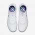 Nike Hyperfeel Koston 3 SB White Deep Royal Blue 819673-141