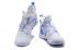 Nike Zoom Lebron Soldier XII 12 OG White Bone Blue AO4053-101