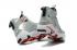 Nike Zoom Lebron Soldier XI 11 Silver Bullet 897647-007
