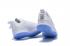 Nike Lebron Witness III 3 EP White Silver AO4432-101