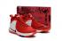 Nike Zoom Witness EP Lebron James Heart Of Lion Red Men Basketball 884277-600