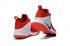 Nike Zoom Witness EP Lebron James Heart Of Lion Red Men Basketball 884277-600