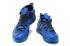 Nike Ambassador VIII 8 Lebron James Blue Black Men Basketball Shoes 818678-400