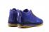 Nike LeBron 10 JE Icon QS James x John Elliott Icon Purple Yellow AQ0114-503