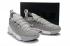 Nike LeBron 16 LBJ16 Grey White AO2595