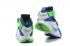 Nike Lebron Soldier IX Game Royal White Green Streak Basketball Shoes 749417-441