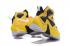 Nike LeBron 13 EP XIII James Basketball Shoes Bumblebee Black Yellow 823301