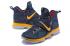Nike Zoom Lebron XIV 14 Navy Blue Gold Men Basketball Shoes 921084