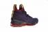 Nike Lebron XV EP New Heights Basketball Shoes 897649-300