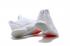 UA Curry 5 Under Armour Curry 5 Pure White 3020657-110