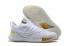 UA Curry 5 Under Armour Curry 5 White Gold 3020657-100