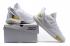 UA Curry 5 Under Armour Curry 5 White Gold 3020657-100